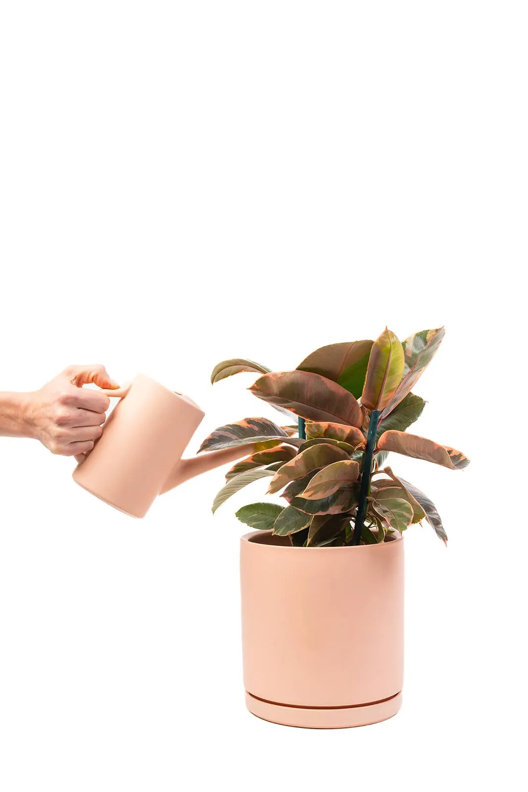 6" Gemstone Watering Can | White Sesame