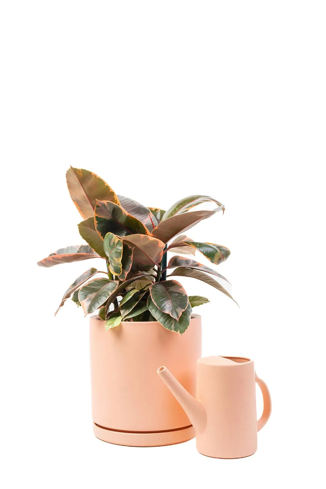 6" Gemstone Watering Can | White Sesame