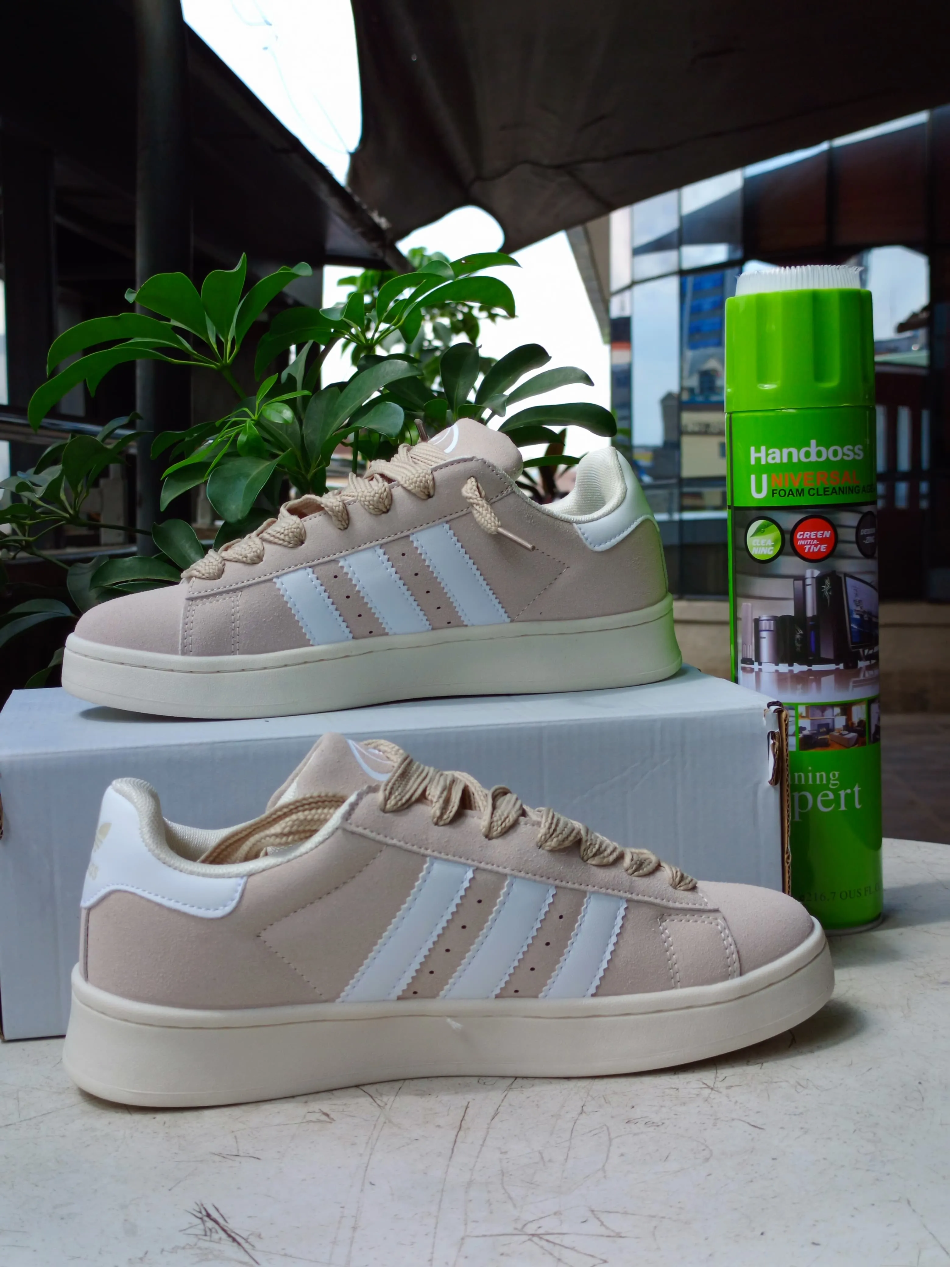 Adidas Campus Beige/White
