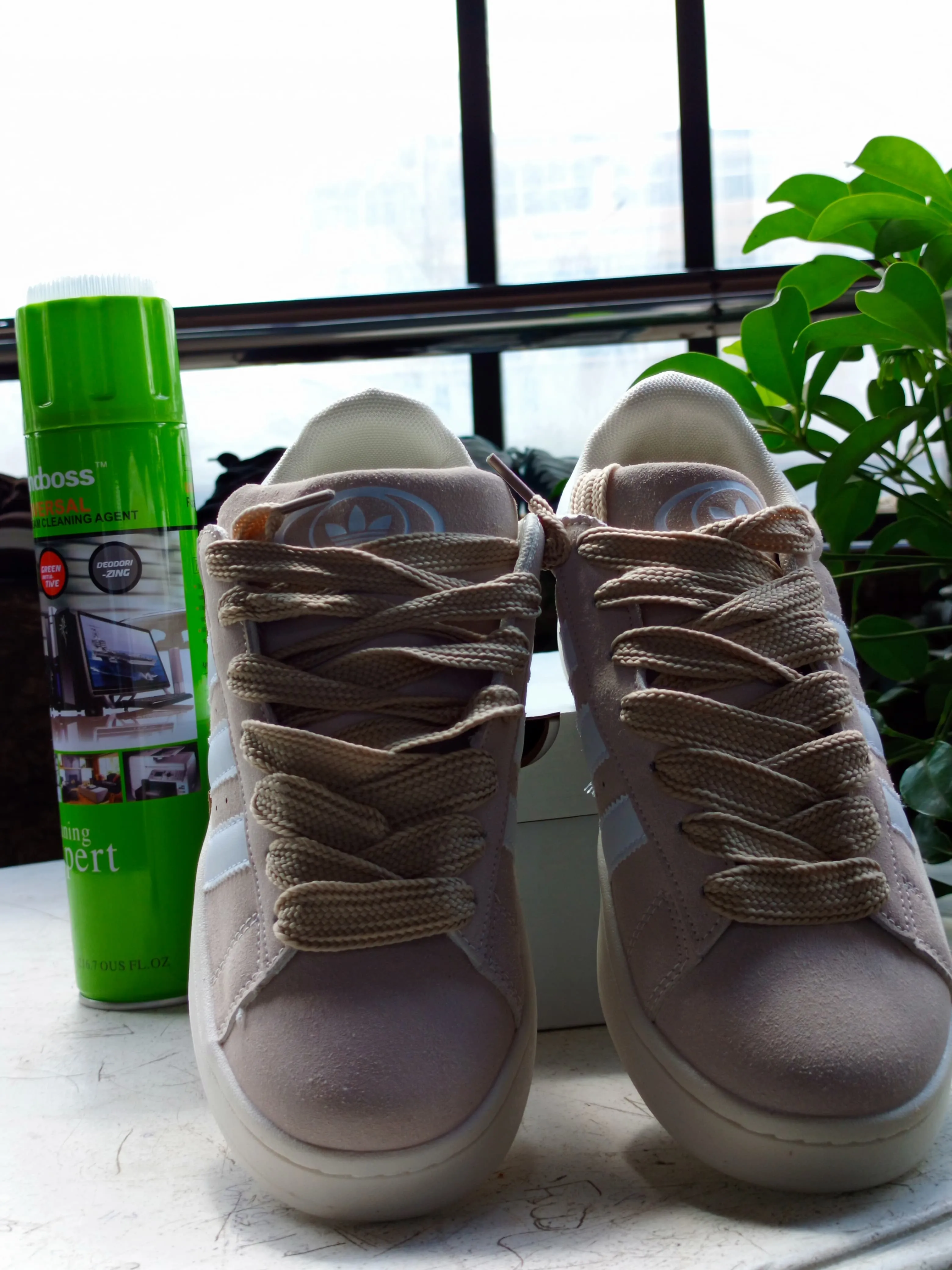 Adidas Campus Beige/White