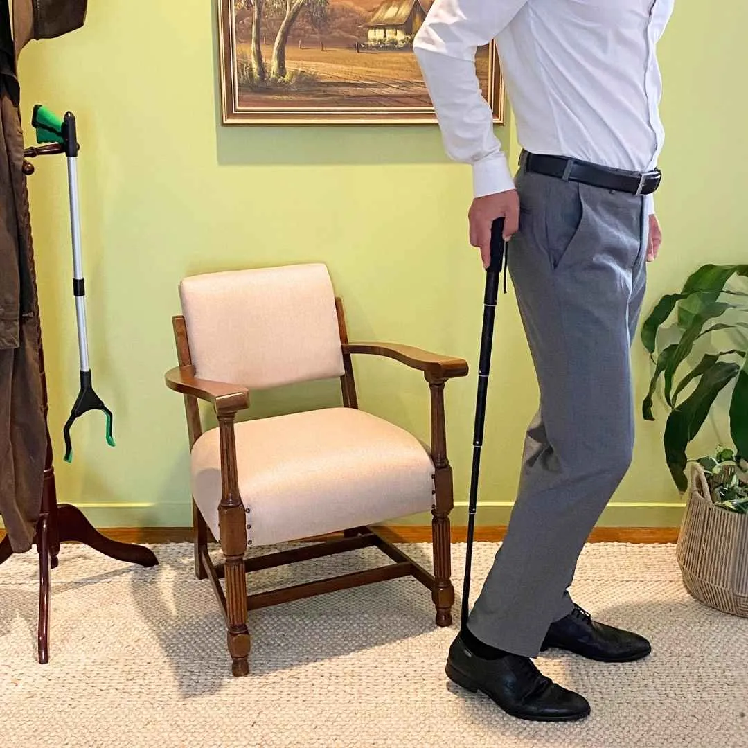 Extendable extra long travel shoe horn