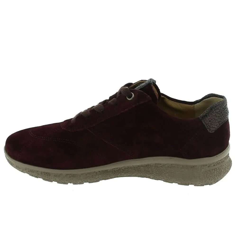 Hartjes Rap 162.1602 K Fit-AUBERGINE