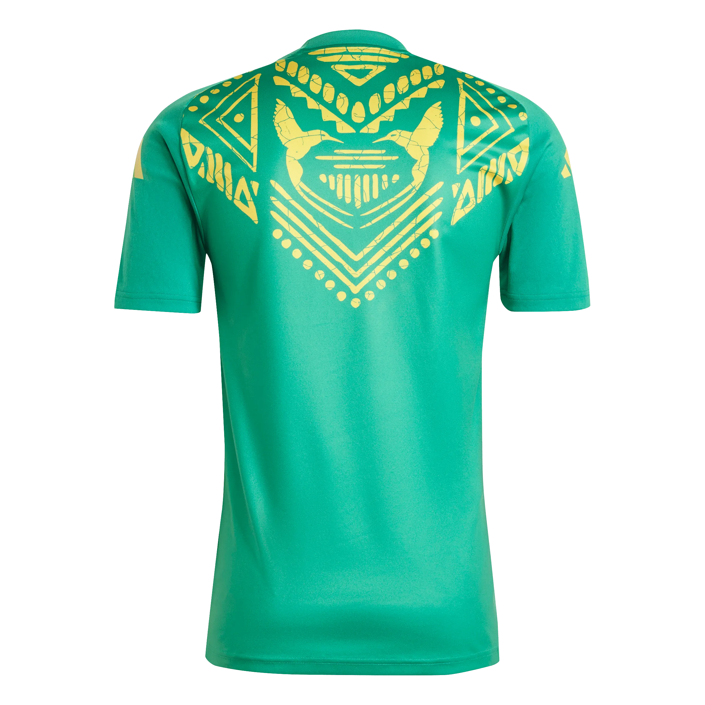 Jamaica Pre-Match Jersey (IS5658)