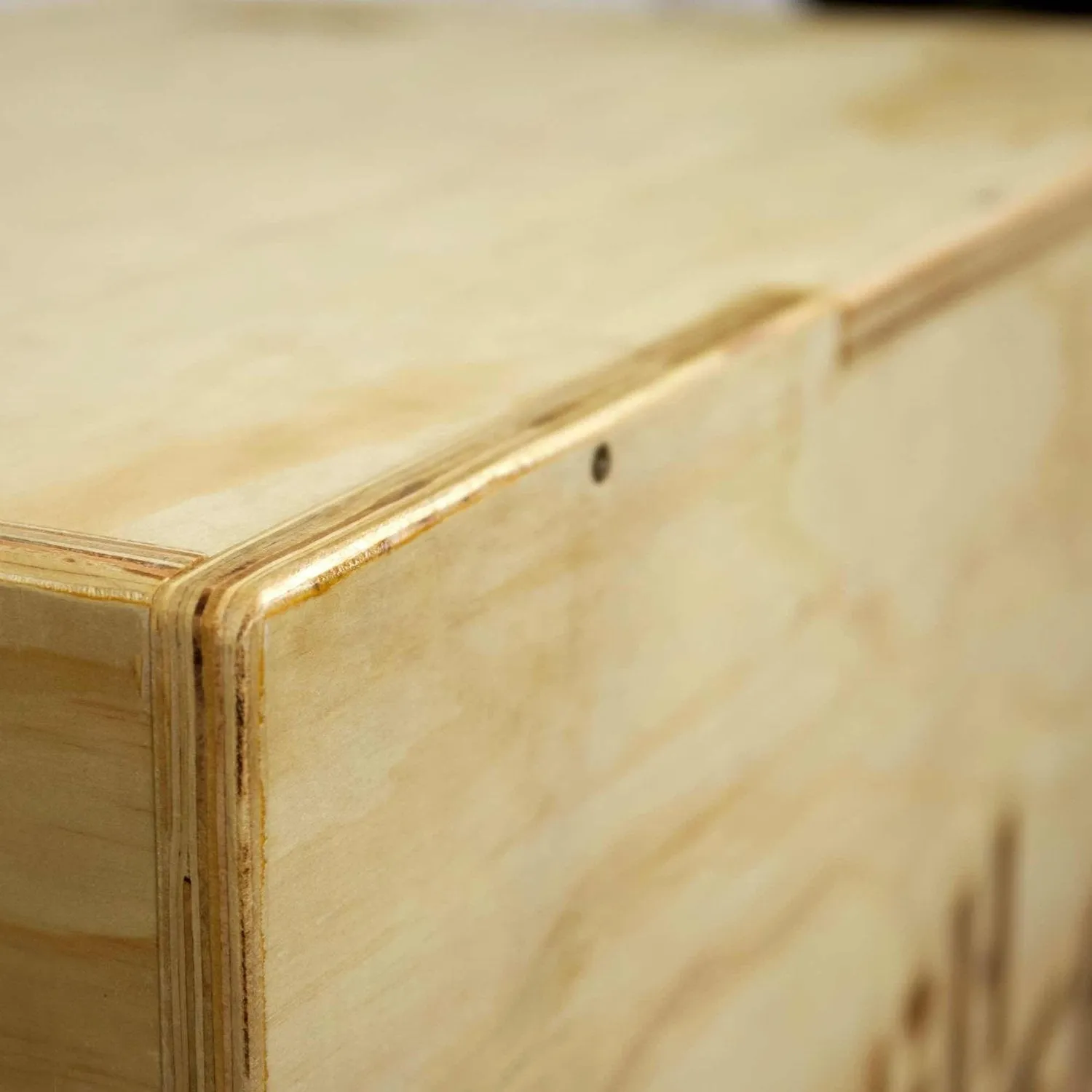 Plyobox Holz (3-in-1 Jump Box)