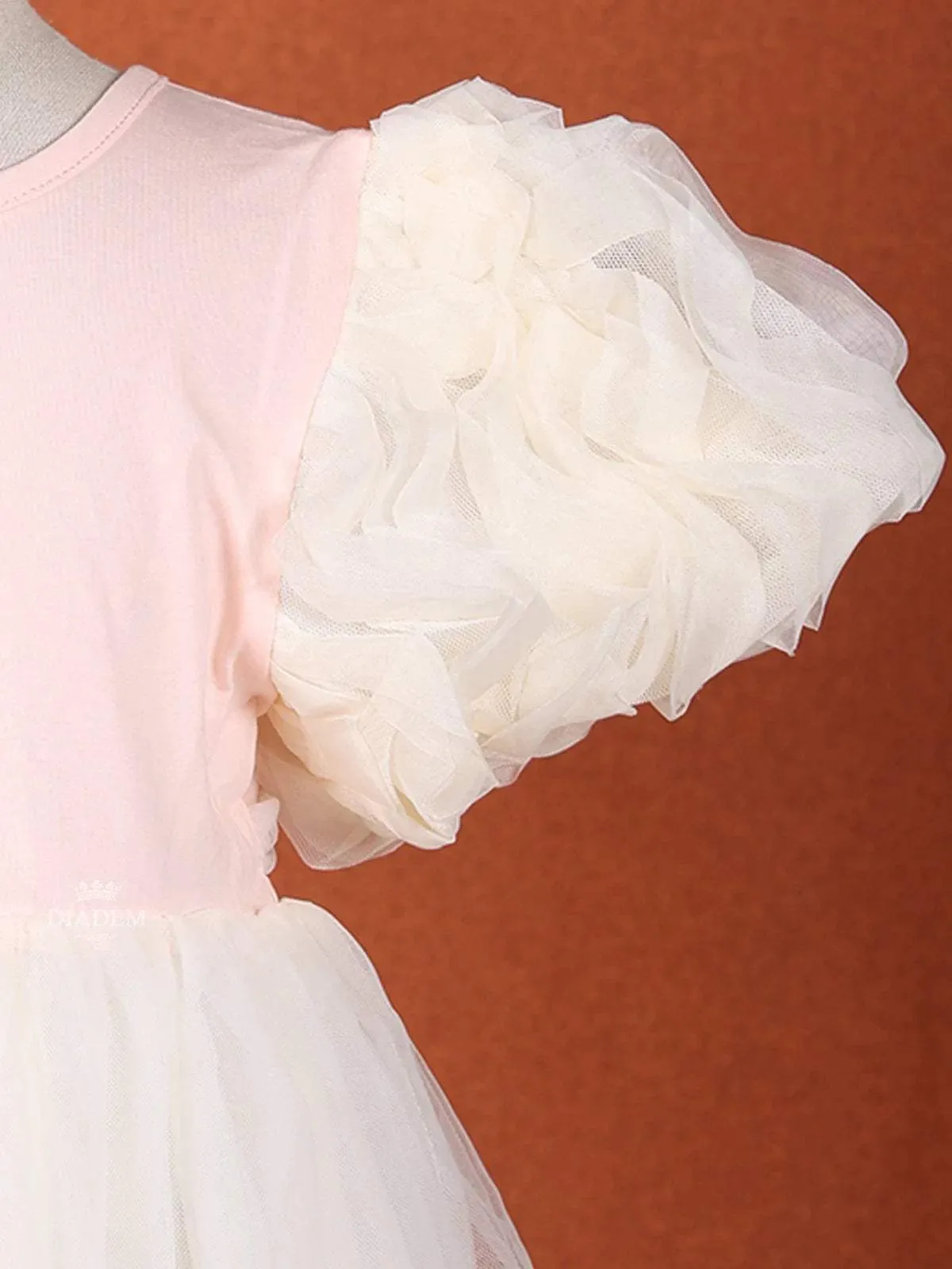 Sandal and Light Pink Net Gown with Puff Sleeves