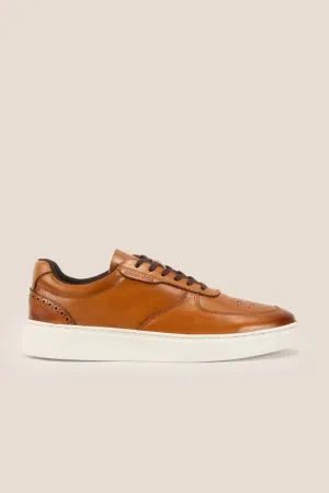 Scout Tan