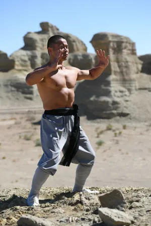 Shaolin Fitness & Health