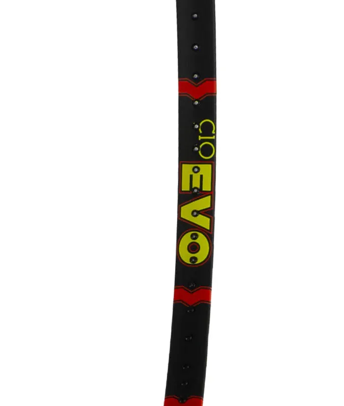 Volkl C10 EVO