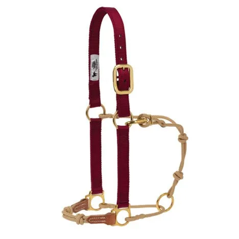 Weaver Small Horseman's Halter (Multiple Color Options)